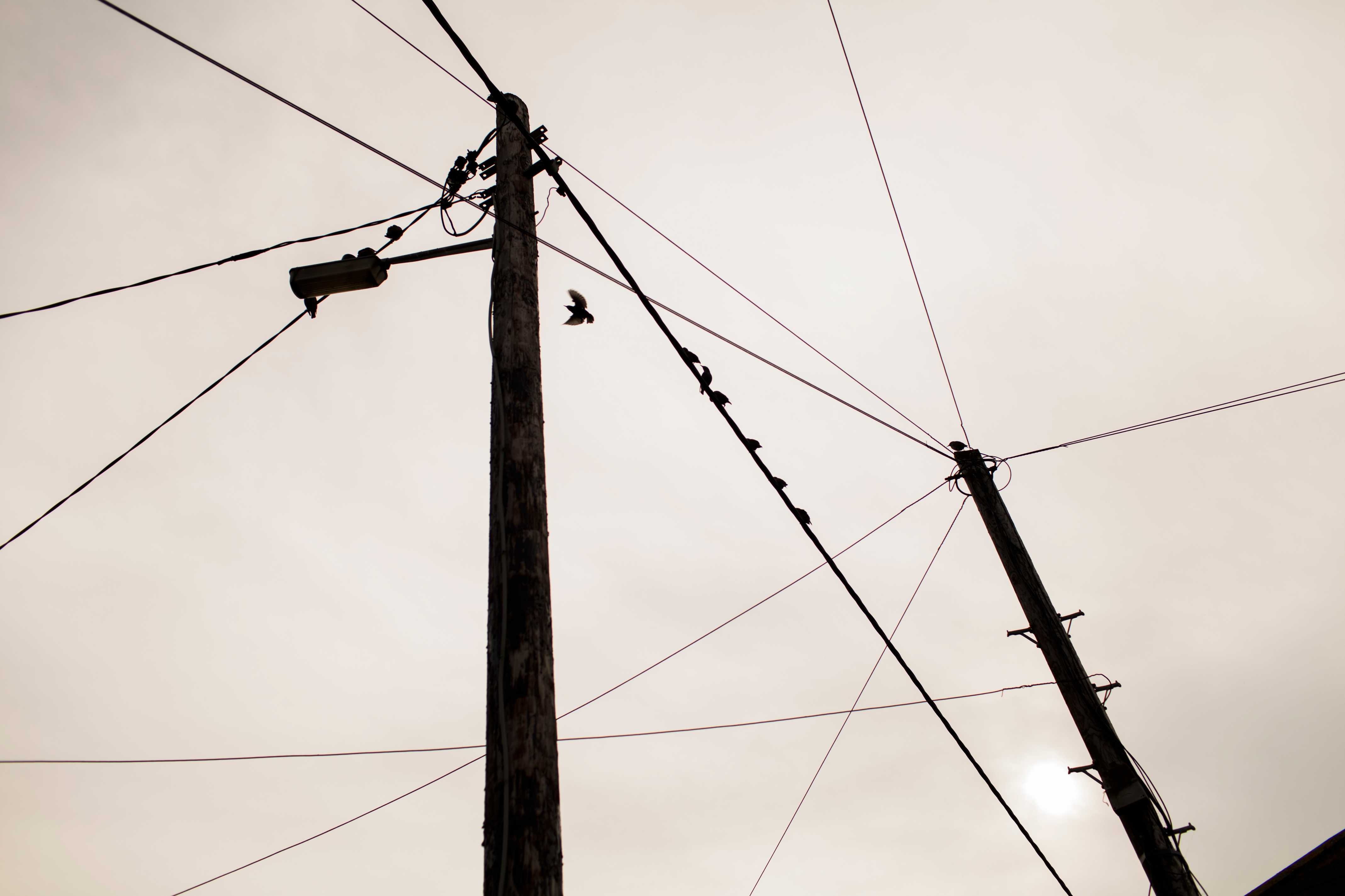 electric wires